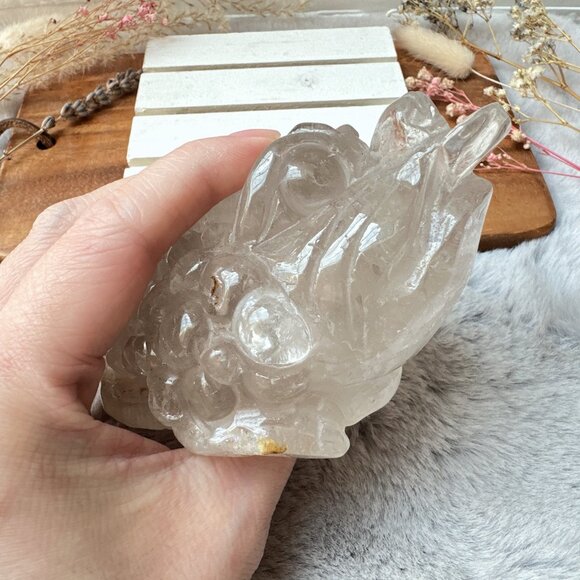 Gorgeous Lodalite Money Toad | Money Frog - Picture 9 of 10